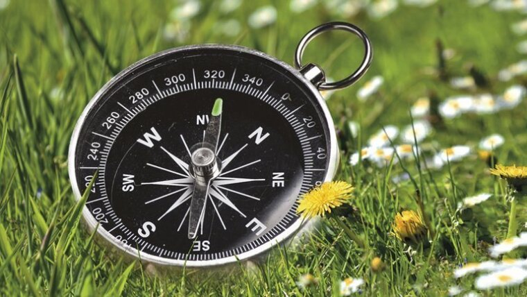 Compass on green grass with summer flowers